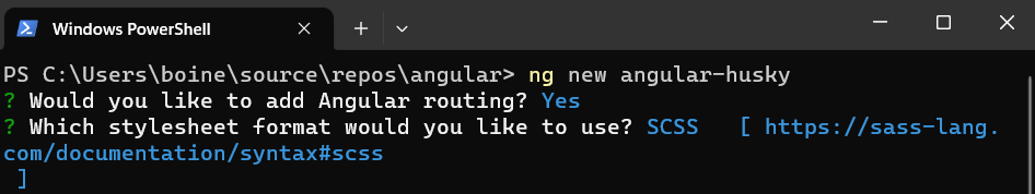 Create new Angular project